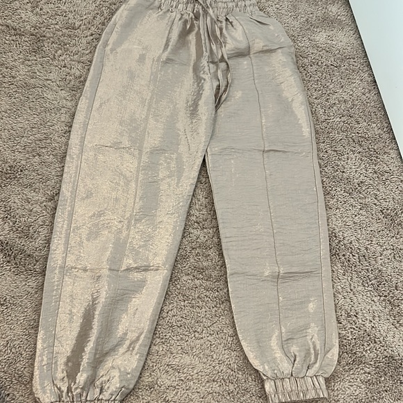 Shimmery pants - Picture 2 of 5